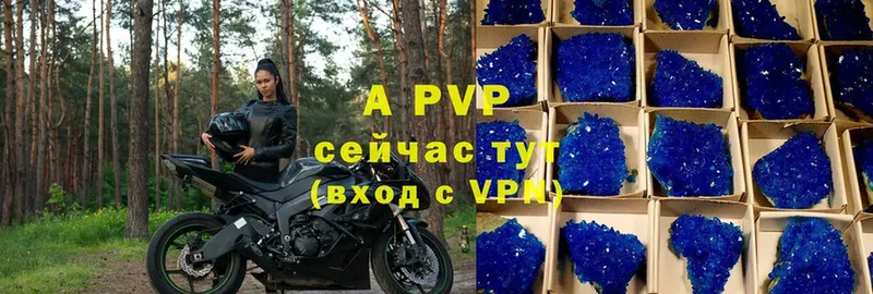 Alfa_PVP СК КРИС  кракен   Луга 